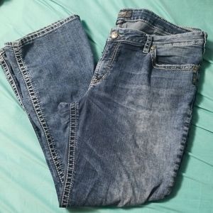 Plus Size Sliver Jeans